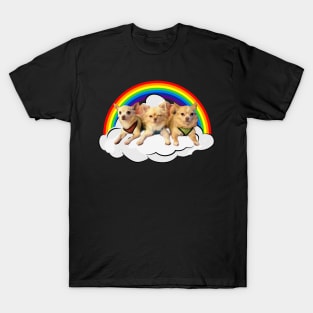 BarkPink Rainbow T-Shirt